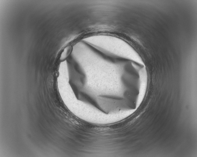 X0000080201309200612302327