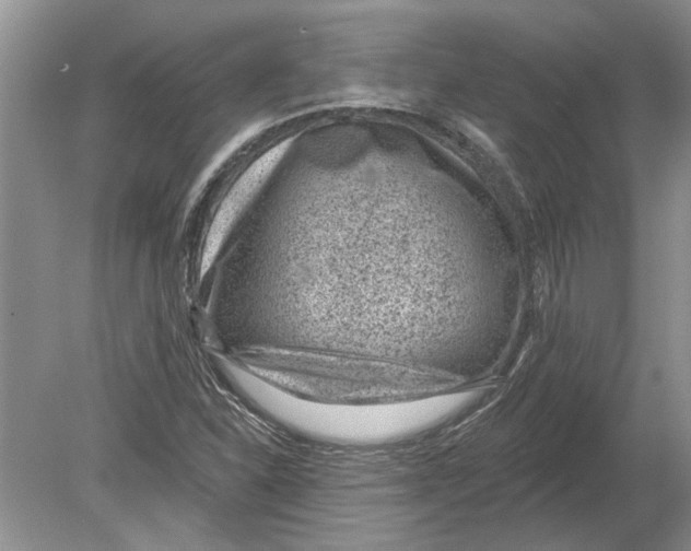 X0000080201310200612302327