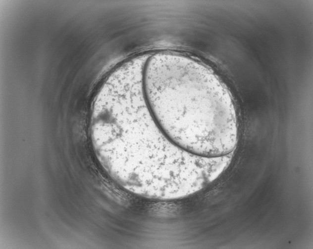 X0000080201314200612302327