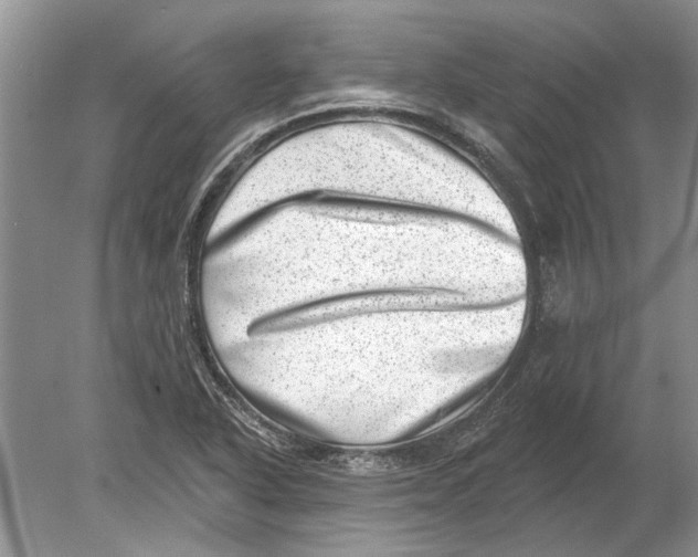 X0000080201318200612302327