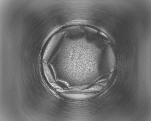 X0000080201325200612302327