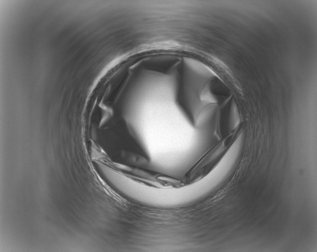 X0000080201326200612302328