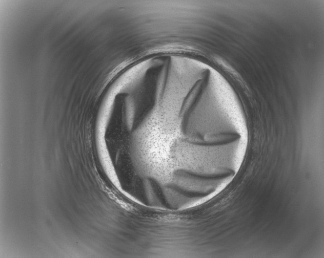 X0000080201329200612302328