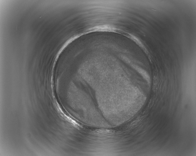 X0000080201331200612302328