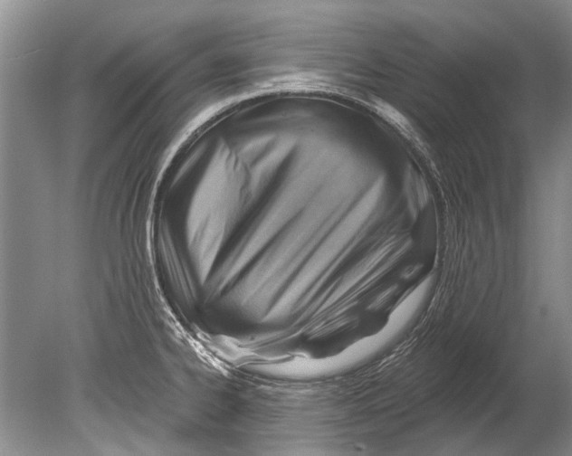 X0000080201334200612302328