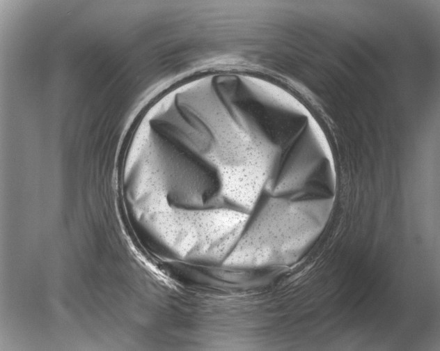 X0000080201335200612302328