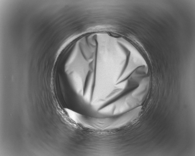 X0000080201336200612302328