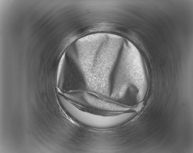 X0000080201337200612302328