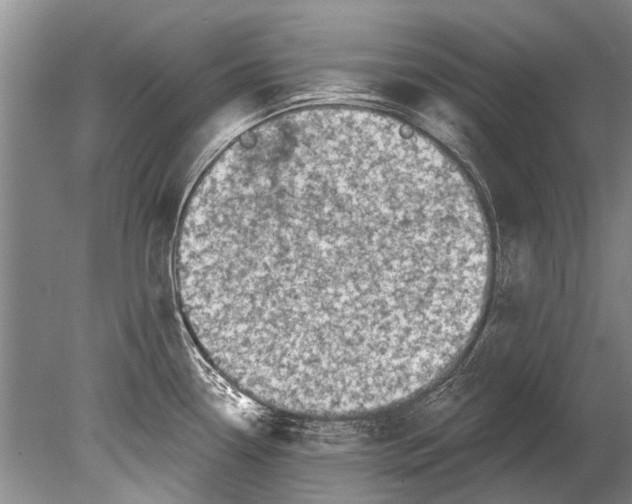 X0000080201338200612302328