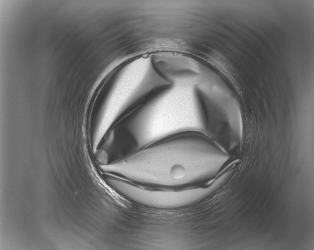 X0000080201339200612302328