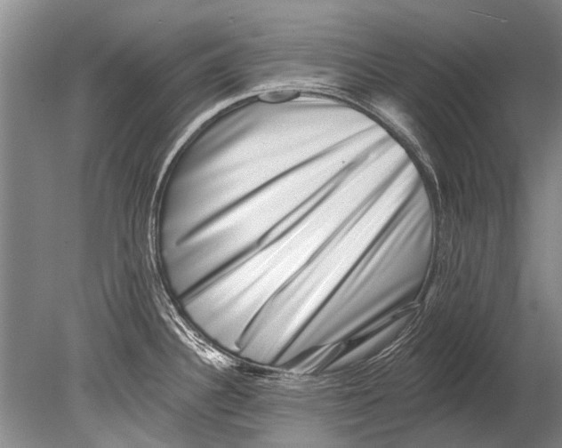 X0000080201340200612302328