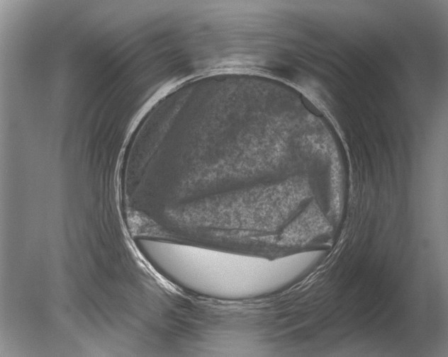 X0000080201341200612302328