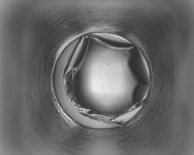 X0000080201344200612302328