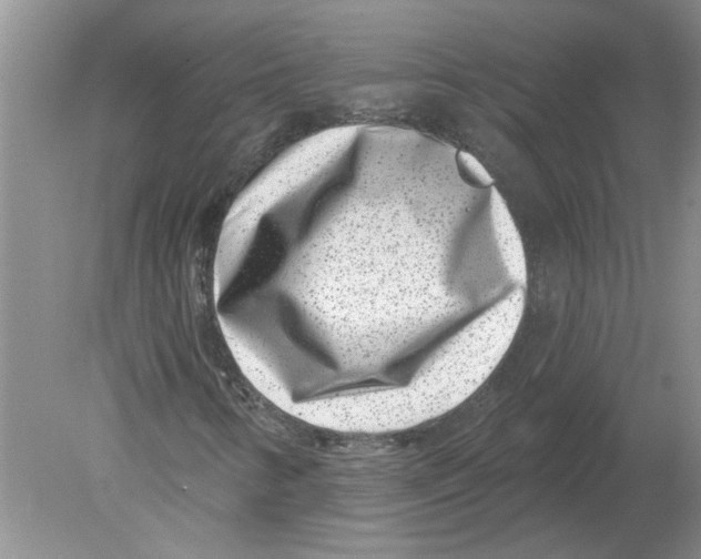 X0000080201346200612302327