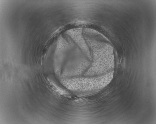 X0000080201348200612302327