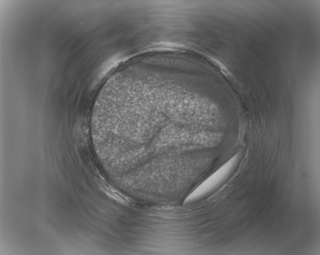 X0000080201355200612302327