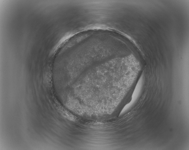 X0000080201359200612302327