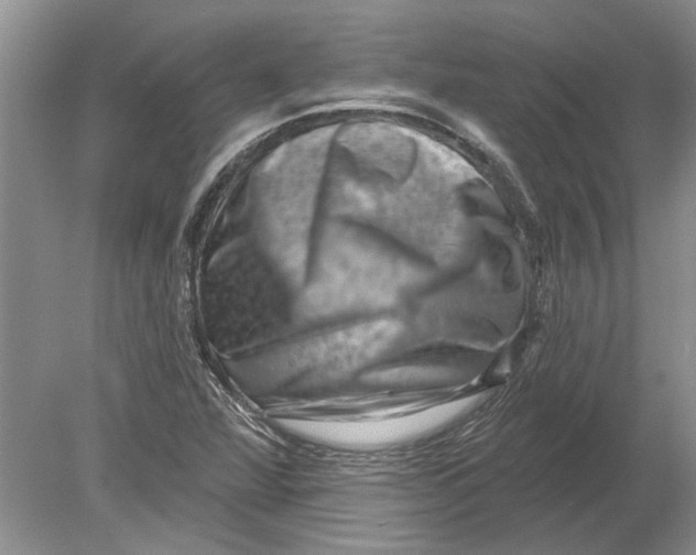 X0000080201360200612302327