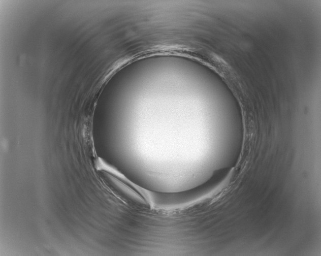 X0000080201361200612302327