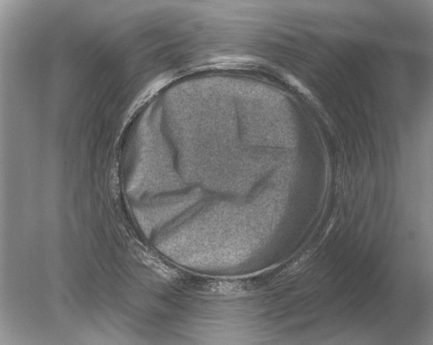 X0000080201362200612302327