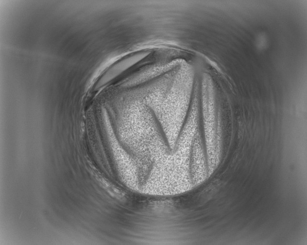 X0000080201363200612302327