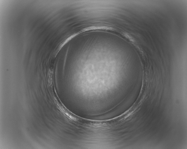 X0000080201369200612302327