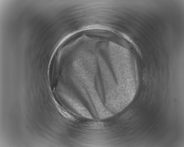 X0000080201372200612302327