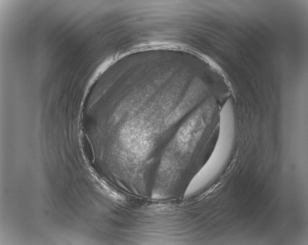 X0000080201373200612302327