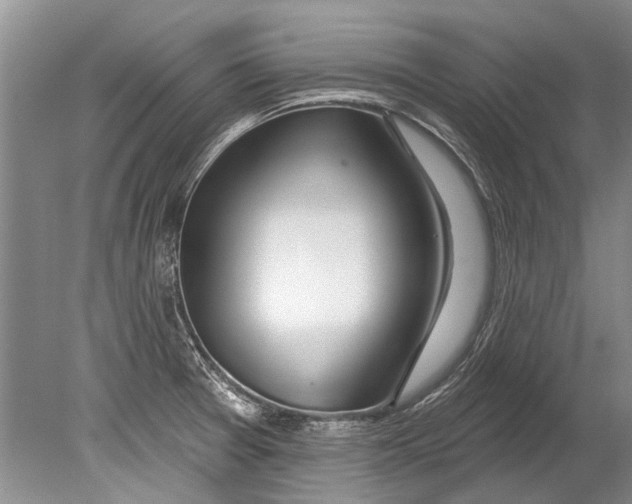 X0000080201377200612302326