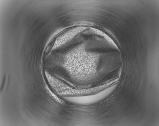 X0000080201379200612302326