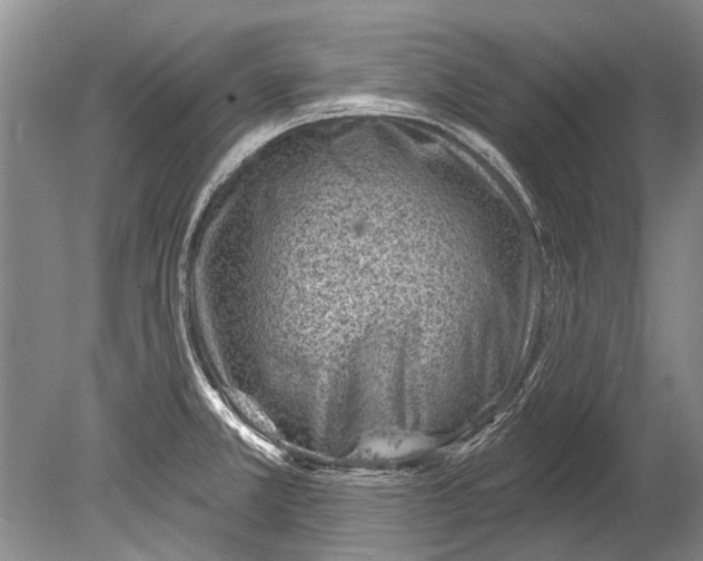 X0000080201381200612302326