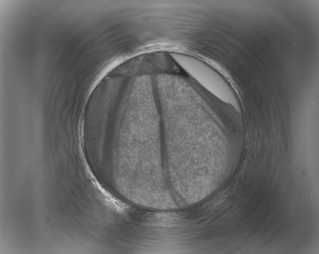 X0000080201383200612302326