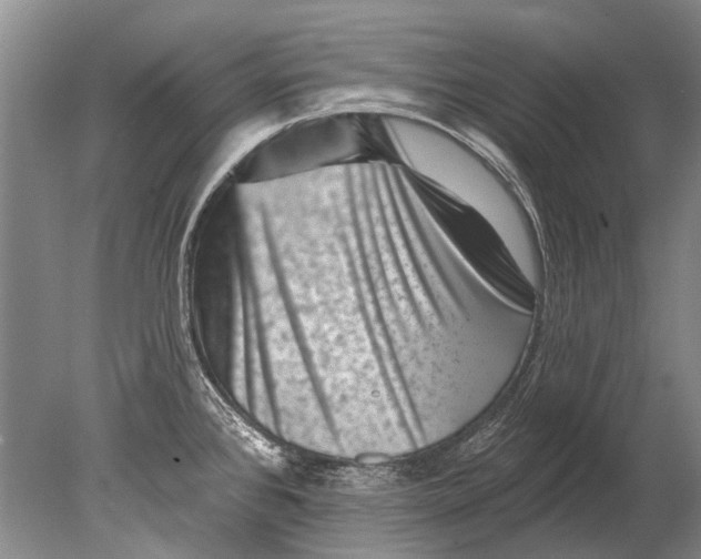 X0000080201384200612302326