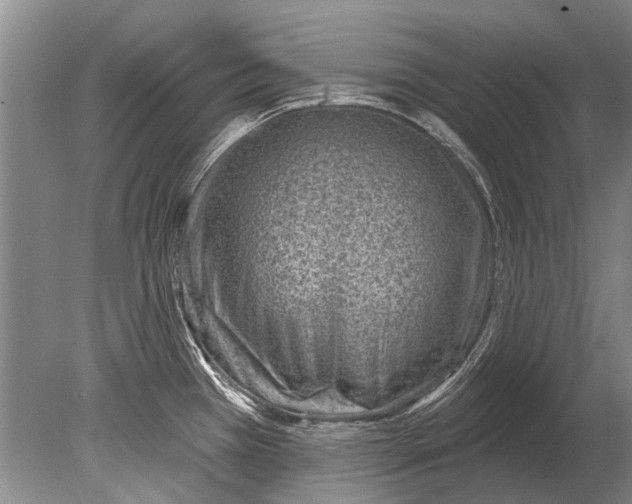 X0000080201385200612302326