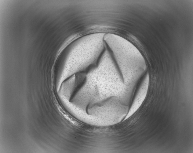 X0000080201386200612302326