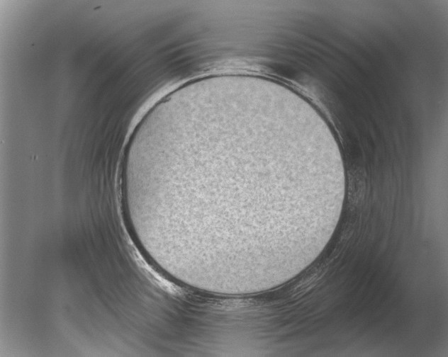 X0000080201387200612302326