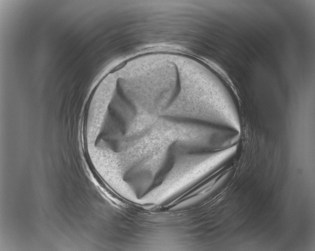 X0000080201391200612302326