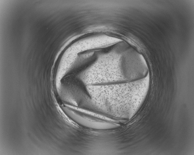 X0000080201392200612302326