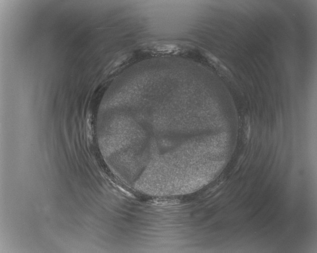 X0000080201394200612302325