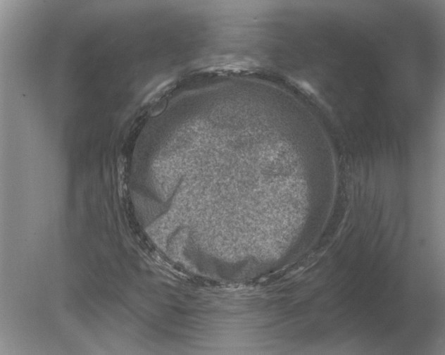 X0000080201399200612302325