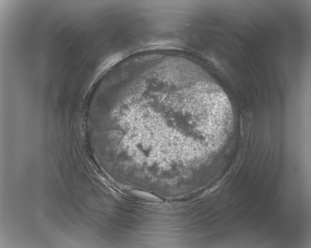 X0000080201405200612302326