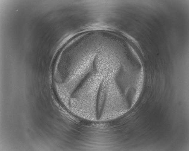 X0000080201415200612302326