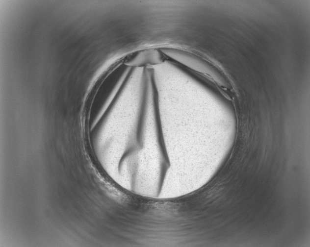 X0000080201416200612302326