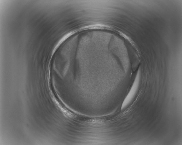 X0000080201418200612302326