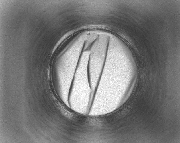 X0000080201420200612302326