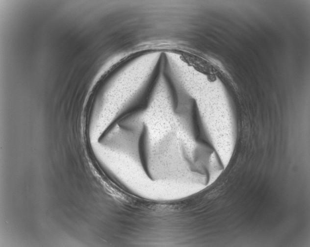 X0000080201424200612302326