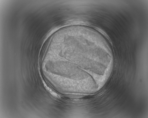 X0000080201439200612302326