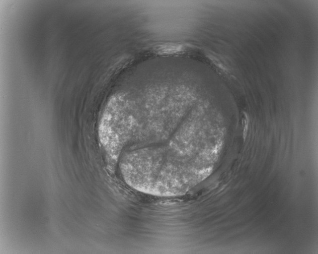 X0000080201441200612302325