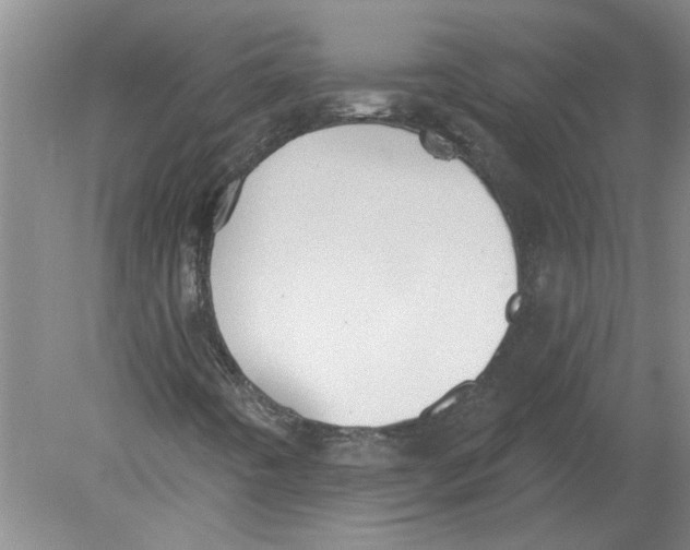 X0000080201442200612302325