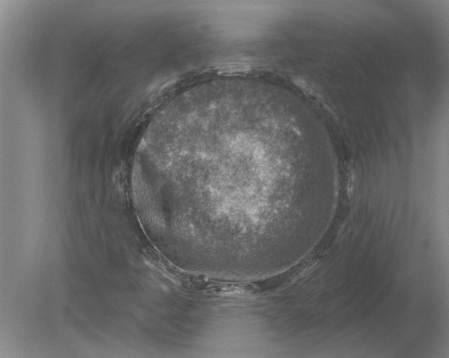 X0000080201445200612302325